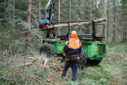 Practical and universal harvester to increase the possibilities of forest machines (foto: Administrator)