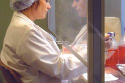 BIO 2002 in Toronto Many new biotech developments in Swedens largest trade fair venture (photo: Administrator)