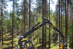 PONSSE Scorpion. © Ponsse Oyj (foto: Industrial News Service)