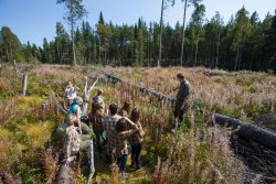 “How is the forest managed and how adapted are the methods to the forests own life cycle? Johan Granås, Iggesund, explains to the participants in the Iggesund Design experience 2013.” © Iggesund<br /><br /> 