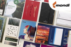 <p><strong>Mondi first to offer extensive portfolio of Cradle to Cradle Certified® uncoated fine papers from its European mills</strong></p> 