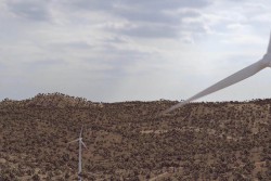 <p><strong>ACCIONA Energía's largest wind farm project receives environmental approval</strong></p> 