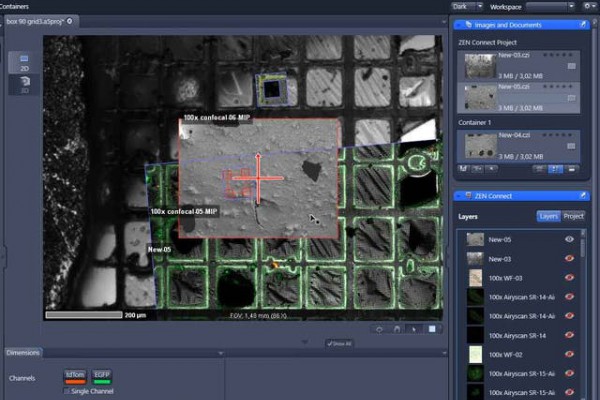 <p>Correlative cryo dataset in ZEISS Connect</p>