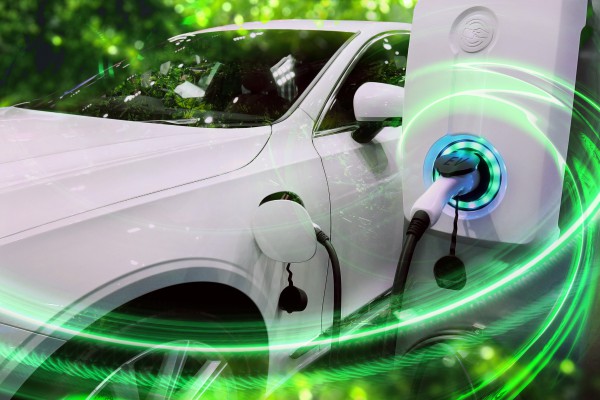 <p><em>It is estimated that only-electric vehicles will represent 25% of light vehicles production in 2030.</em></p>