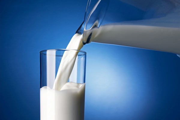 <p>Milk Milk</p>