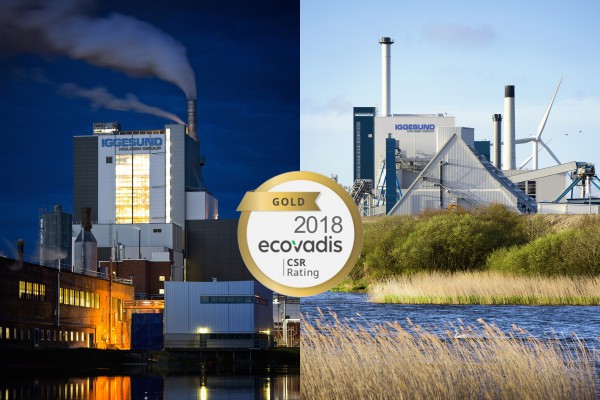 <p><strong>Caption</strong>: Iggesund Mill is a model facility, which, together with its sister mill at Workington, England, has received top marks for its sustainability work.</p>