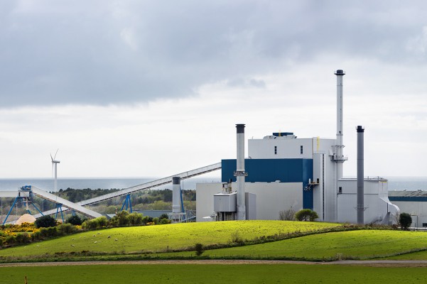 <p>The fields around Workington Mill were planted in early June 2013 with fast growing SRC willow, which has already grown to an incredible height. The first harvesting will take place in the autumn of 2016.© Iggesund</p>