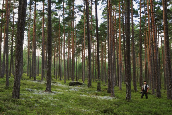 <p><strong>Caption:</strong> Stora Enso drives sustainable forest management as it safeguards forest health and productivity, helps combat global warming, and protects biodiversity – whilst securing the long-term availability of our renewable resources.Image: Stora Enso</p>