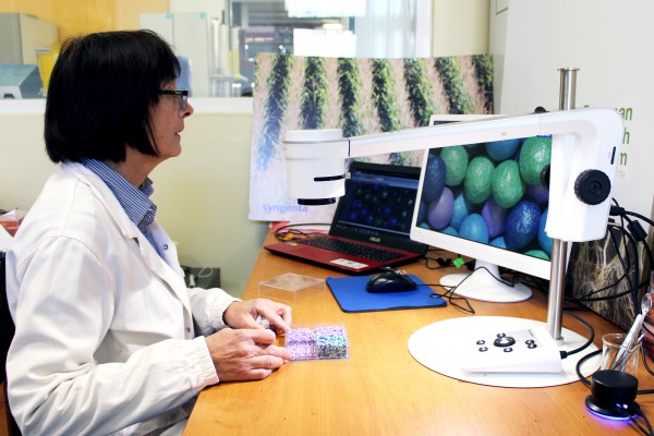 <p>Caption: Digital_microscope_seed_coating_visual_inspection</p>