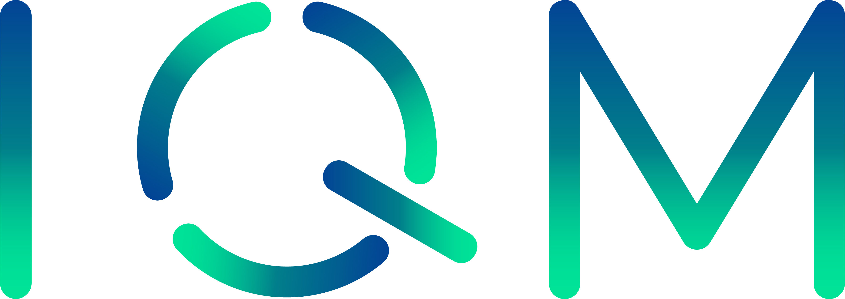 IQM Logo