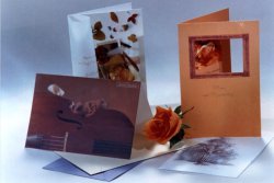 Hallmark cards chose ensocoat SBS board (photo: Administrator)
