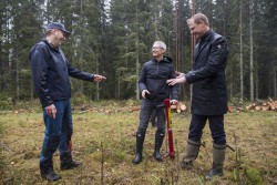 <p> Apple CEO Tim Cook tries his hand at the manual job of planting trees surrounded by Johan Granås, Sustainability Manager Iggesund Paperboard, andHenrik Sjölund, CEO of the Holmen Group. © Iggesund</p> (foto: Brooks Kraft)