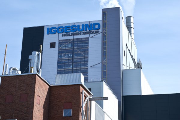 Holmen, the forest industry group which includes Iggesund Paperboard, is on the UN Global Compact Index of the world’s 100 most sustainable companies. © Iggesund<br /><br />